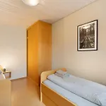 Haus Ersfeld - Gartenwohnung